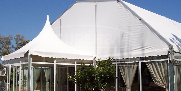 Superb Clear Span Polygon Structure Tent [LS series]